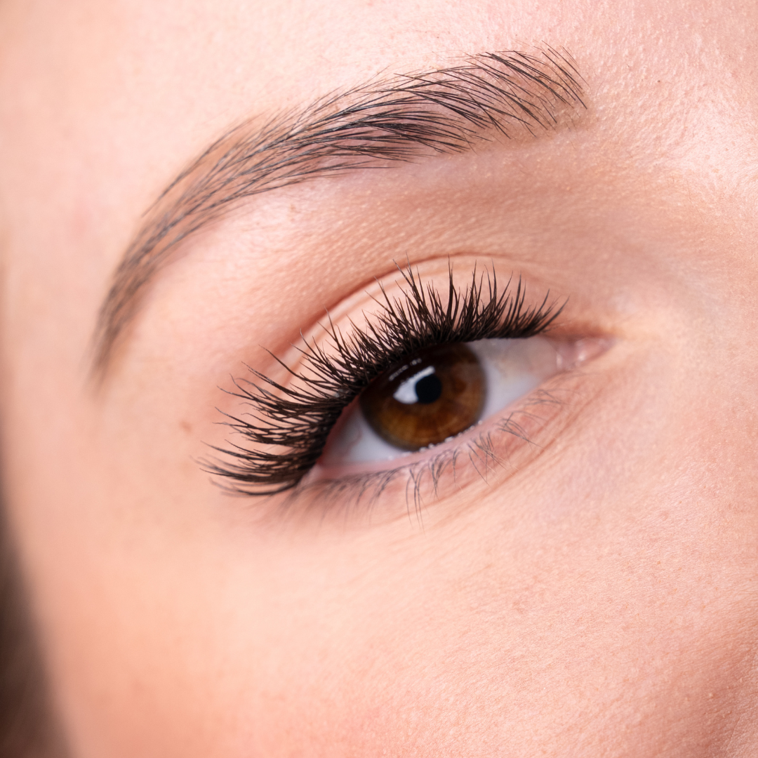 Gaze Stripment DIY Lashes
