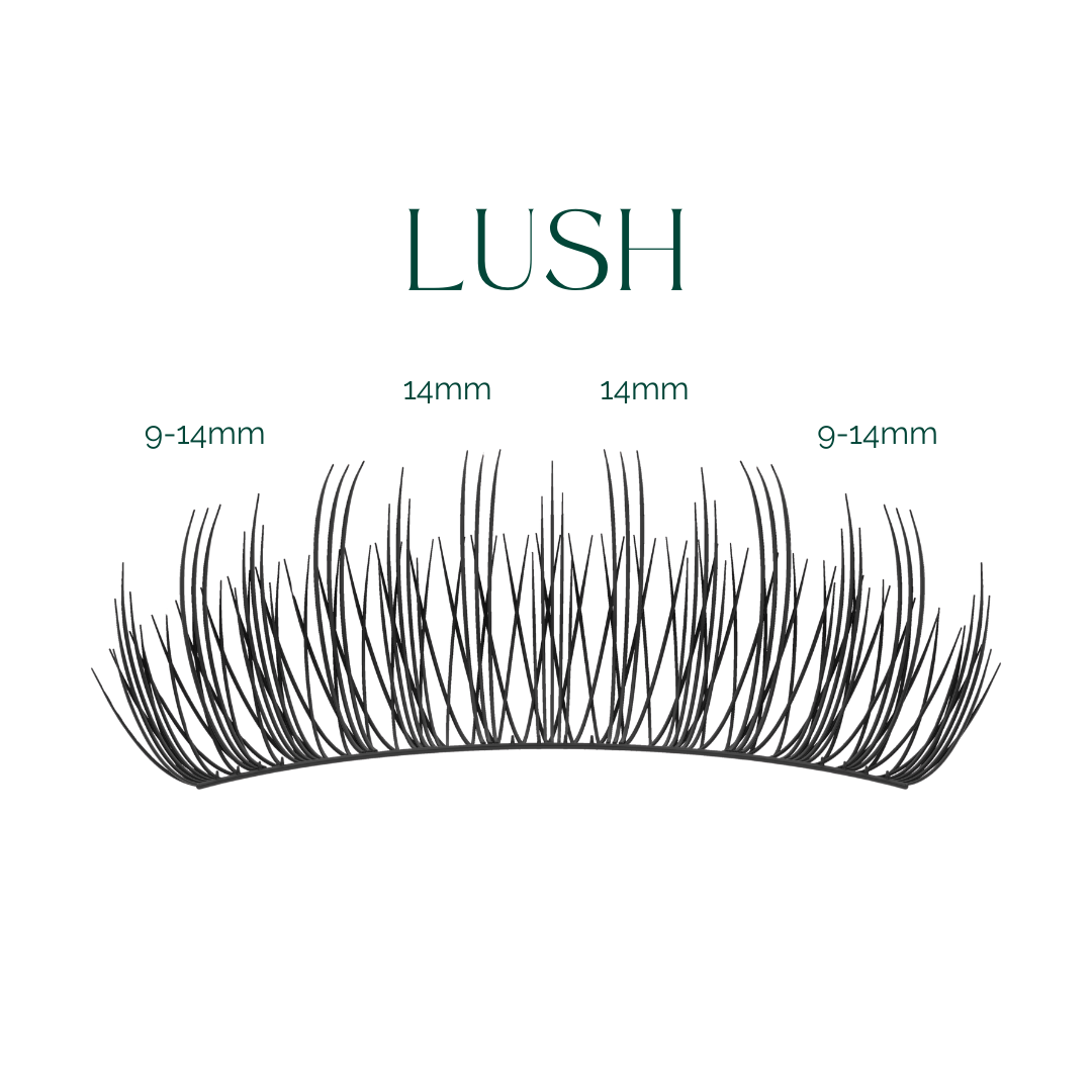 Lush | Bare Lash Collection